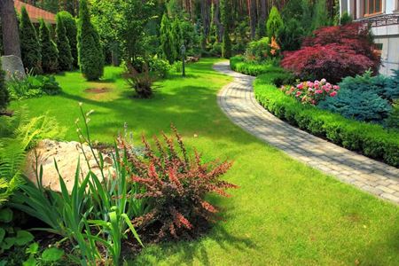 Top 7 Landscaping Mistakes Homeowners Make in Alabama and How to Avoid Them