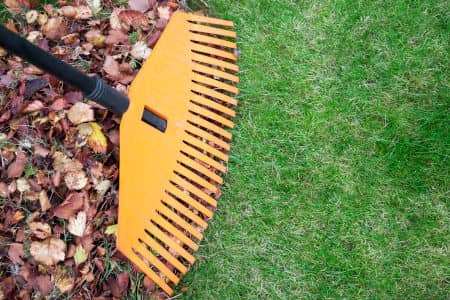 Fall Lawn Tips from Classic Gardens: How to Keep Your Lawn Lush and Healthy