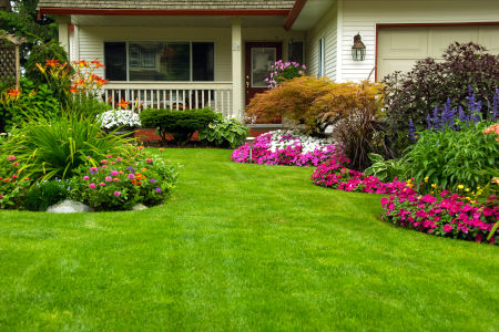 How Landscaping Increases Curb Appeal