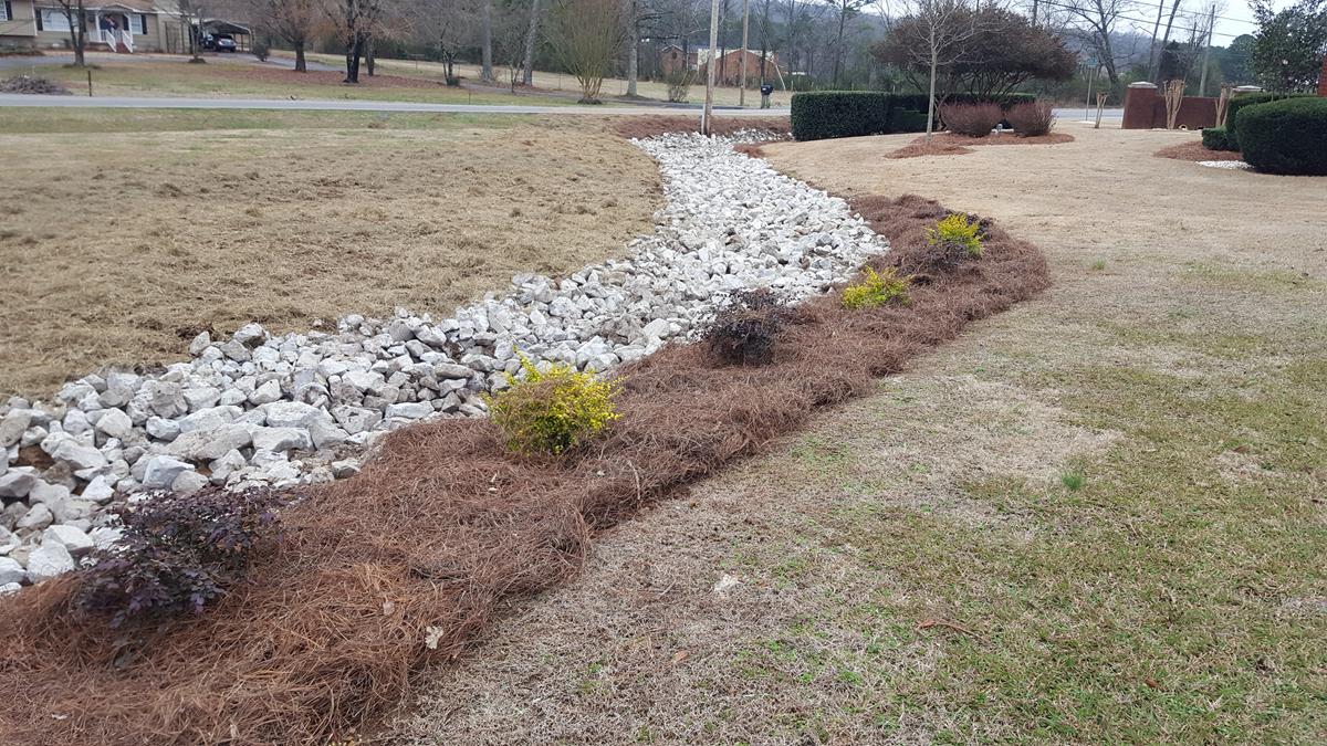 Drainage Image