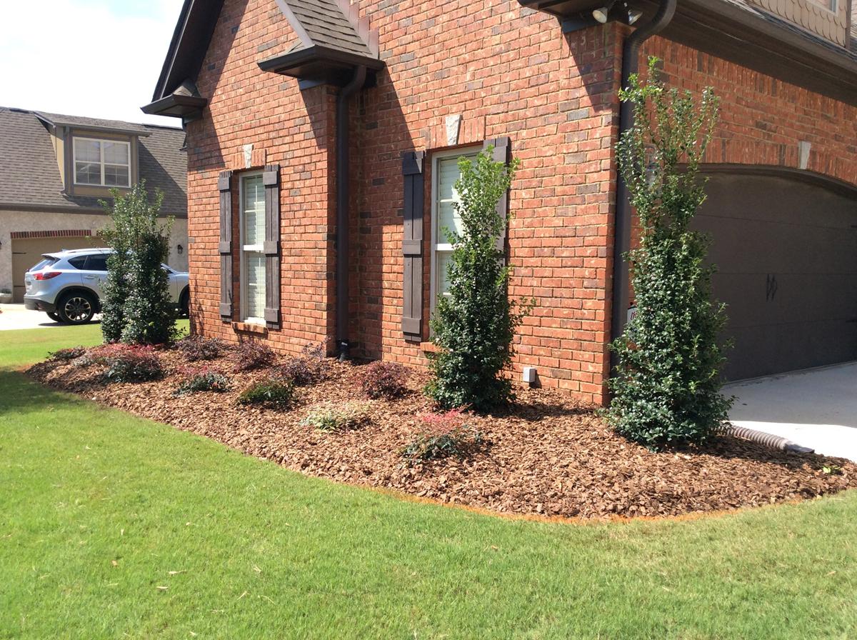 Shrub Installation | Birmingham Planting Shrubs