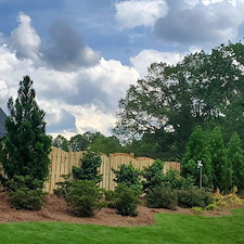Shrubs-Sod 1
