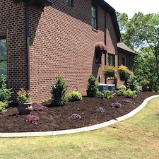 Shrubs-Sod 33
