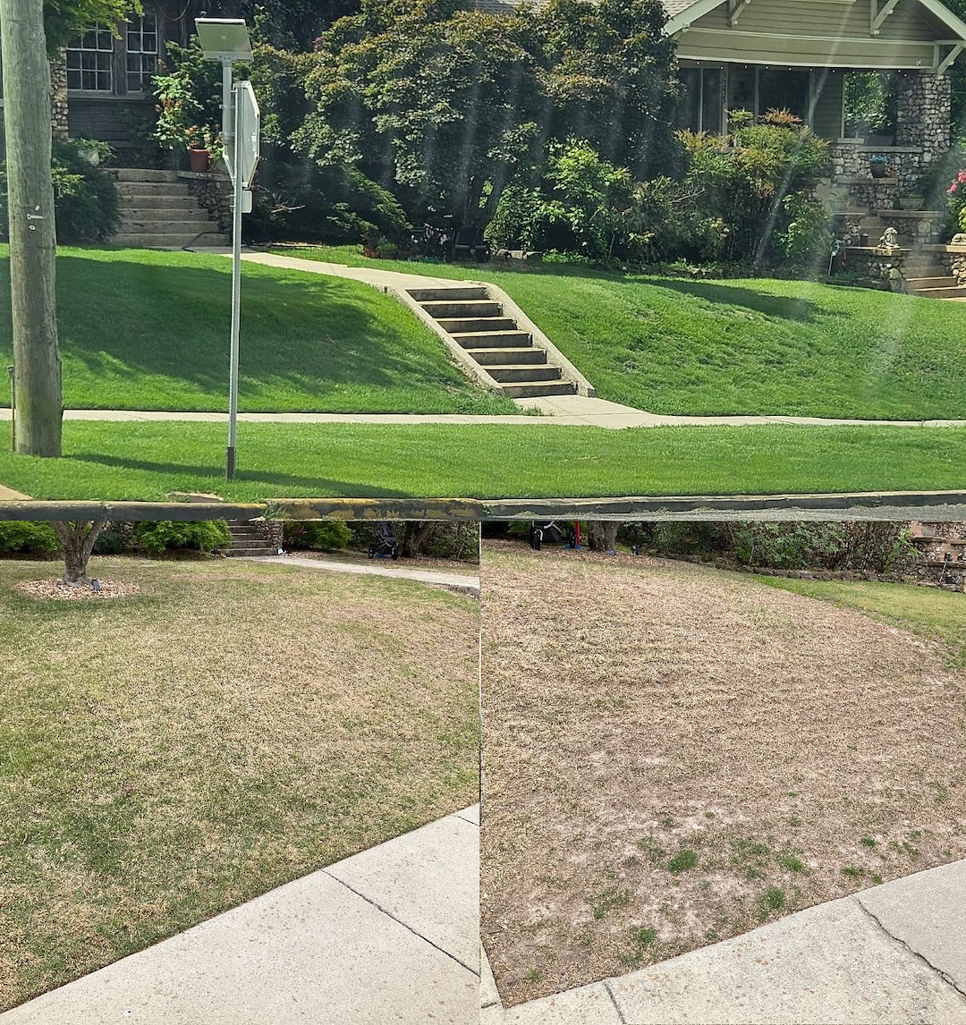 Comprehensive Lawn Treatment & Chinch Bug Control in Birmingham, AL