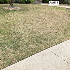 Comprehensive-Lawn-Treatment-Chinch-Bug-Control-in-Birmingham-AL 1