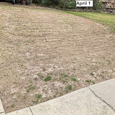 Comprehensive-Lawn-Treatment-Chinch-Bug-Control-in-Birmingham-AL 2