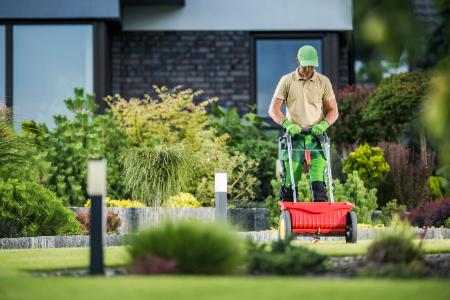 Lawn Fertilization & Weed Control