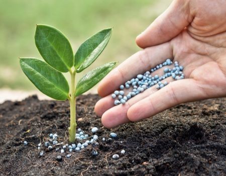 Lawn Fertilization in Birmingham, AL