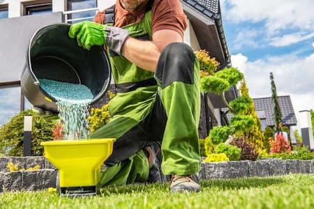 Lawn Treatment Thumbnail