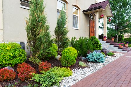 Shrub Fertilization & Insect Control