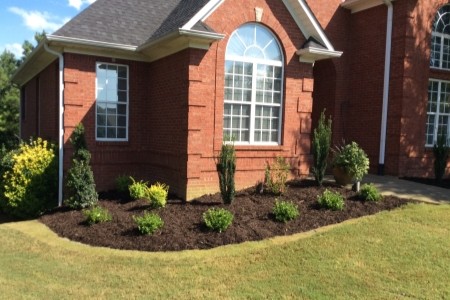 Shrub Installation Thumbnail